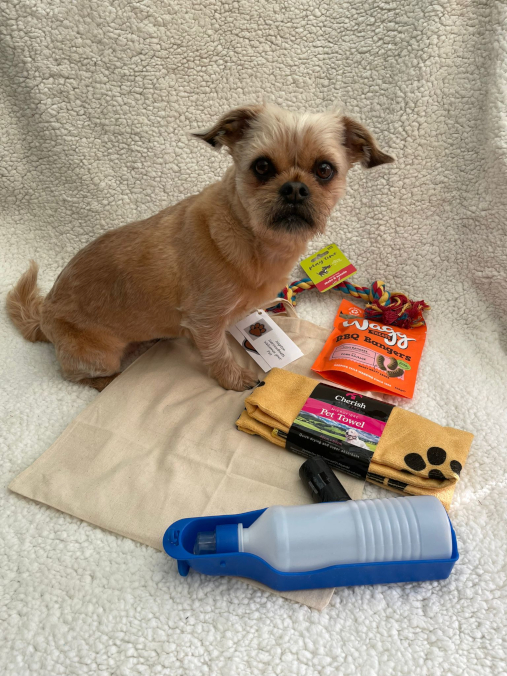 Dog with one of our Pet Goody bags